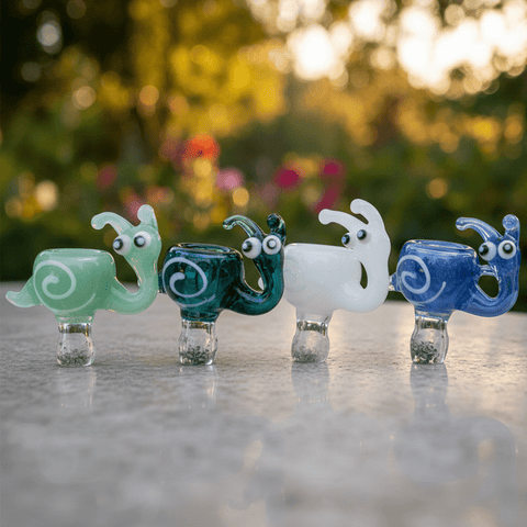 Xtreme 14mm Snail Shape Glass Bowl