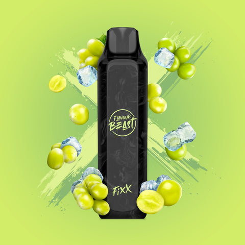 Flavour Beast Fixx 3000 (Excise Tax Included)